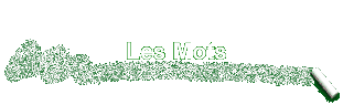 Les Mots