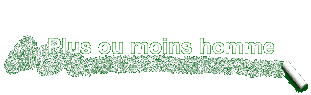 Plus ou moins homme
